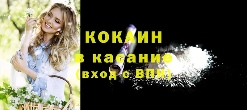 цена   даркнет как зайти  КОКАИН Fish Scale  Гремячинск 